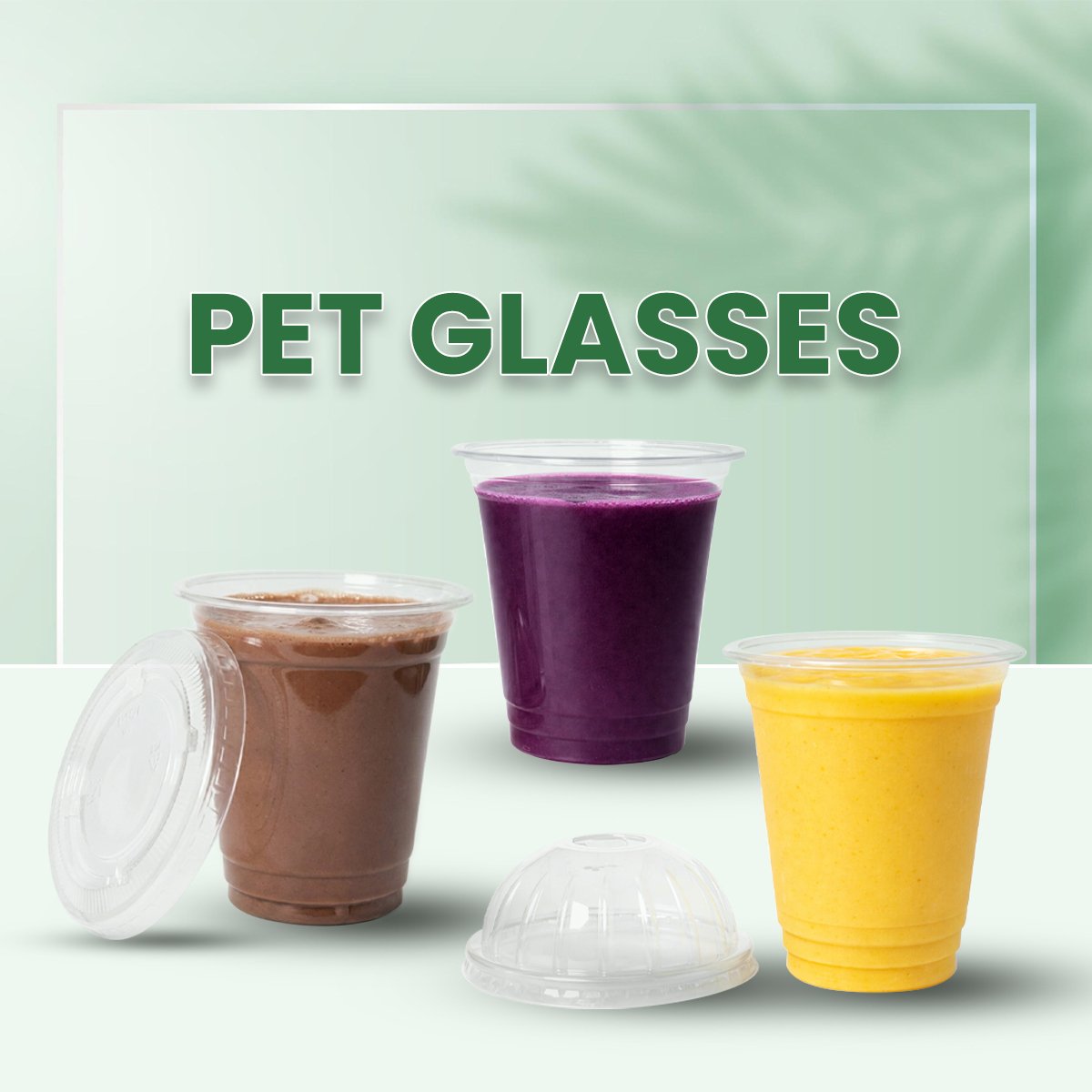 PET GLASSES