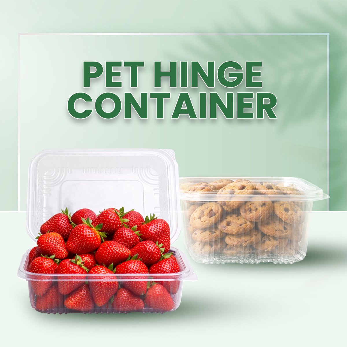 PET HINGE CONTAINER